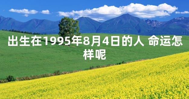 出生在1995年8月4日的人 命运怎样呢